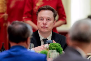 Why Elon Musk is calling this Tesla report ‘absurdly fake news’